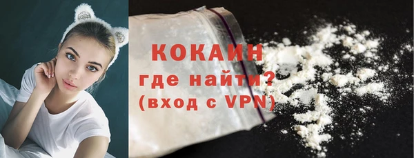 шишки Лагань