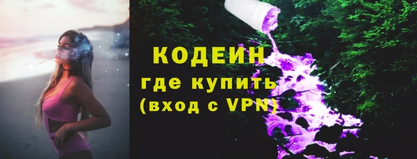 шишки Лабытнанги