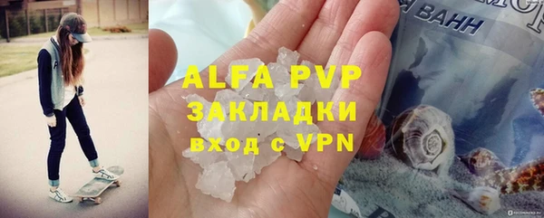 шишки Лабытнанги