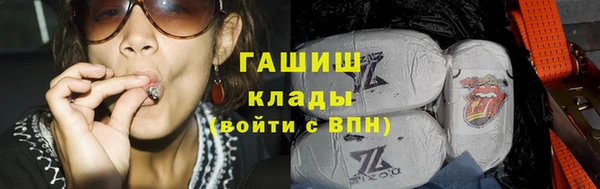 шишки Лабытнанги