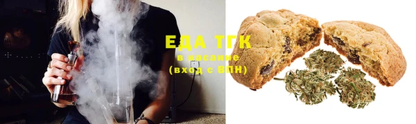 шишки Лабытнанги