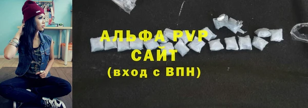 шишки Лабытнанги