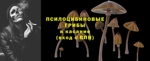 шишки Лагань