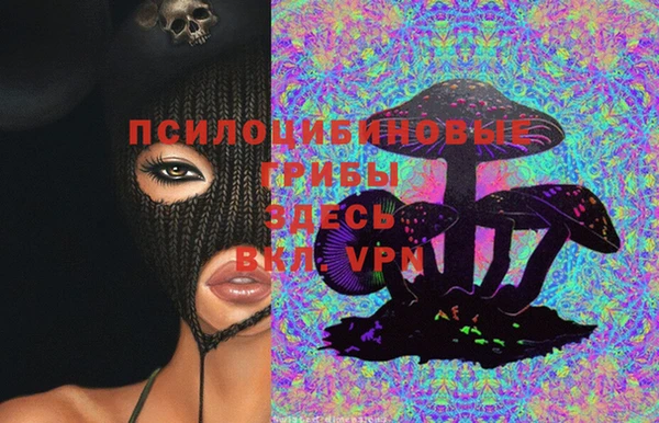 шишки Лабытнанги