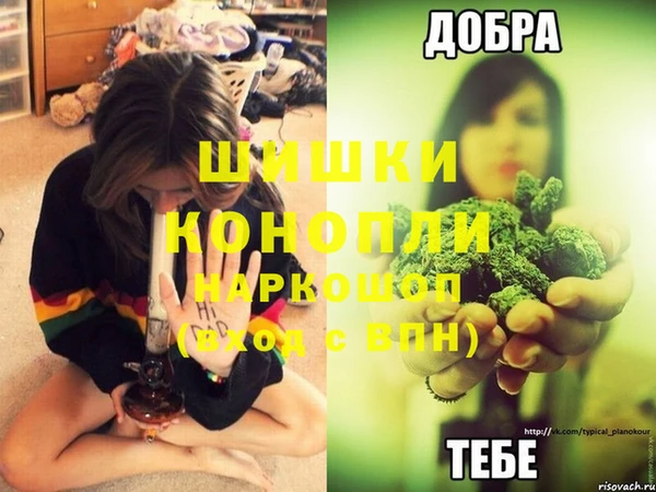 шишки Лабытнанги