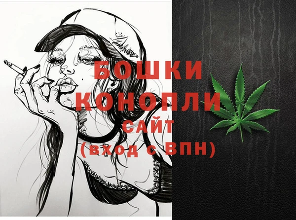 шишки Лабытнанги