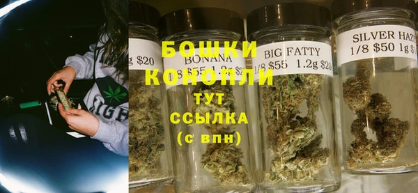 шишки Лагань