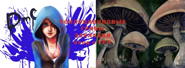 мдпв Лиски
