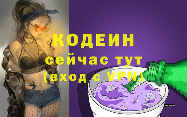 шишки Лагань