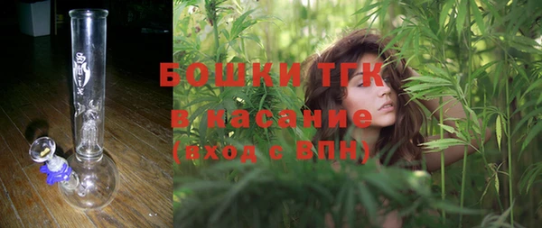 шишки Лагань