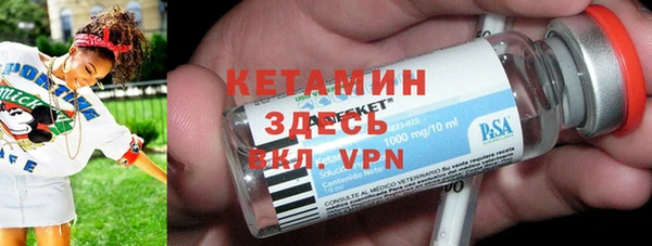 шишки Лабытнанги