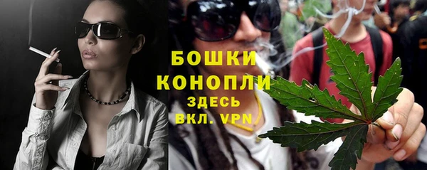 мдпв Лиски